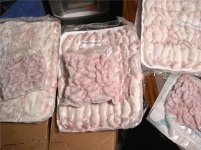 Frozenmice 005.jpg