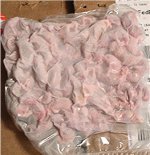 Frozenmice 009.jpg