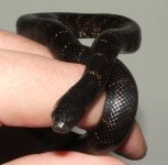 113005 maria (2).JPG