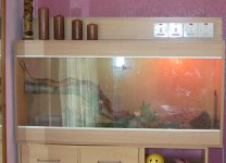 Vivarium.JPG