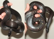 051707 maria rs (6).JPG