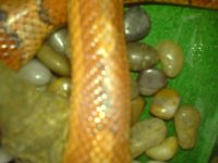 DSC00927.JPG