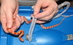 forum 5 meets his shed.jpg