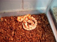 Number 7 profile.jpg