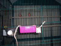 100_1419.jpg