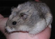 Inhand.JPG