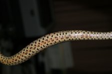 IMG_5476.JPG