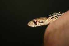 IMG_5486.JPG