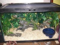 Addy Viv 002_800.jpg