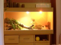 Vivarium Try2.jpg