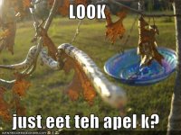 LOOKjusteett128434552986356250.jpg