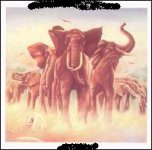 album!.jpg