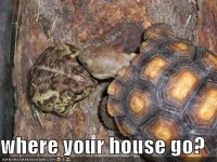 whereyourhou128433792565740095.jpg