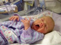 Yawn.jpg