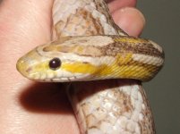 031007 gwen (11).JPG