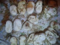 eggs 002.JPG