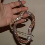 Bairdi 08-23-08 d.jpg