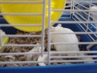 DSC01281.JPG
