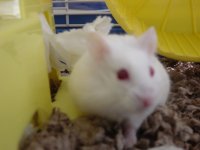 DSC01285.JPG