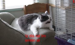 Picture 473.jpg
