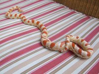 motley&peaches 020.jpg
