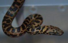 resizeFDSC_3771.jpg