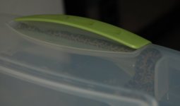 resizeFDSC_3782.jpg