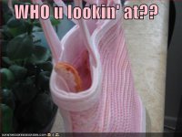 WHOulookinat128435778672918750.jpg