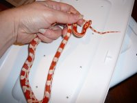 P1030088.JPG
