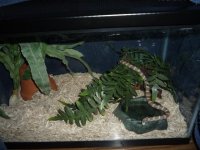20080327_0013 (Small).JPG