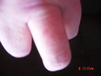 Picture 574.jpg