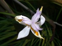 May 07_2008 003.jpg