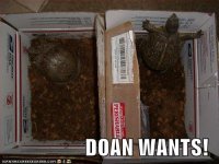DOANWANTS128436965803700000.jpg