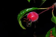 DSC_0603.jpg