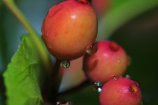 DSC_0615.jpg