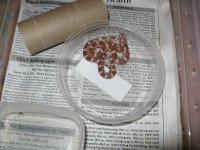 IMG_1276.JPG
