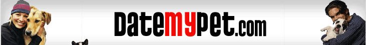 dmp.jpg