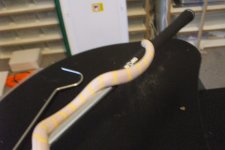 ReptilesArachnids 161.jpg