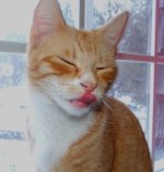 TongueShot.jpg