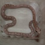 Keelia 05-08-08 b.jpg