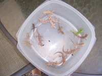 100_1396.jpg