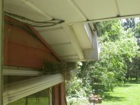 Snakes-Random Pics 6-25-08 024.jpg