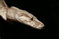comp_IMG_5290.jpg