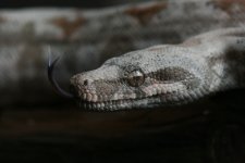 comp_IMG_5391.jpg