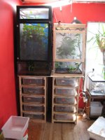 IMG_0463a.jpg