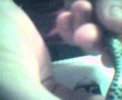 cap_002.jpg