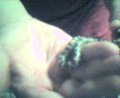 cap_004.jpg