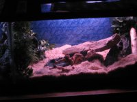 IMG_0017.JPG