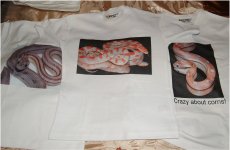 shirts.jpg