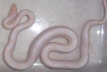 Earl120106-1.jpg